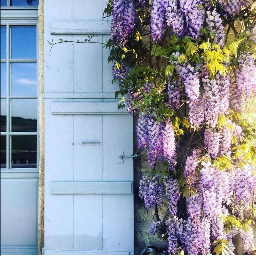 B&B La Commanderie De Lachapelle Lachapelle  ภายนอก รูปภาพ